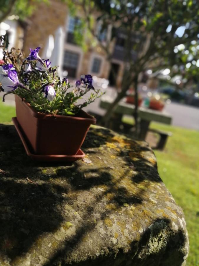 Casa Barreta Konuk evi Villaviciosa  Dış mekan fotoğraf